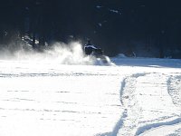 Bild: Schlittenhunderennen in Benneckenstein