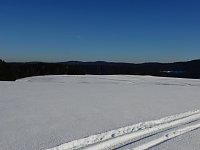Bild: Schlittenhunderennen in Benneckenstein