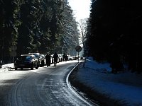 Bild: Schlittenhunderennen in Benneckenstein
