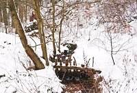 Taucher auf Winterwanderung Bild: Taucher auf Winterwanderung