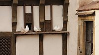 Besuch auf der Wartburg Bild: Besuch auf der Wartburg