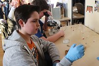 Bild: Jugend forscht 2017 an der Hochschule Nordhausen