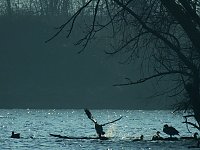 Bild: Sonnenbaden am Kiesschacht