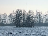 Bild: Sonnenbaden am Kiesschacht
