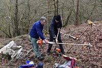 Bild: Im Hotspot der Artenvielfalt
