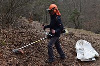 Bild: Im Hotspot der Artenvielfalt