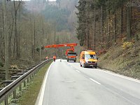 Bild: Holzeinschlag im Schuhmannstal