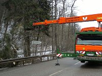 Bild: Holzeinschlag im Schuhmannstal