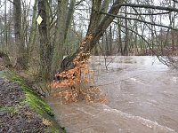 Bild: Die Zorge in Nordhausen am Vormittag