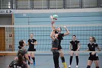Bild: Pflicht erf&uuml;llt: SVC-Damen feiern Meisterschaft