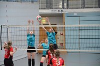 Bild: Pflicht erf&uuml;llt: SVC-Damen feiern Meisterschaft