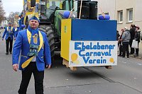 Bild: N&auml;rrinnen und Narren ziehen durch die Stadt (2)