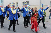 Bild: N&auml;rrinnen und Narren ziehen durch die Stadt (2)