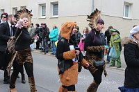 Bild: N&auml;rrinnen und Narren ziehen durch die Stadt (2)