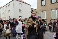 Bild: N&auml;rrinnen und Narren ziehen durch die Stadt (2)