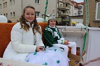 Bild: N&auml;rrinnen und Narren ziehen durch die Stadt (2)