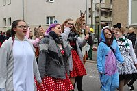 Bild: N&auml;rrinnen und Narren ziehen durch die Stadt (2)