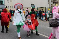 Bild: N&auml;rrinnen und Narren ziehen durch die Stadt (2)