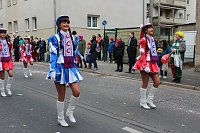 Bild: N&auml;rrinnen und Narren ziehen durch die Stadt (2)