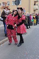 Bild: N&auml;rrinnen und Narren ziehen durch die Stadt (2)
