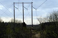 Bild: 10.05.06: Stromleitungen in Schweden