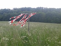 Bild: Leider fallen Jahr f&uuml;r Jahr viele Rehkitze dem Schneidwerk der M&auml;hmaschinen zum Opfer. Wildscheuchen sollen dies verhindern helfen.