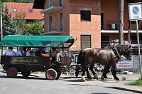 Bild: Hoffest R&uuml;dingsdorfer Schweiz