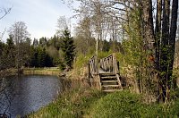 Bild: 12.05.06: Naturschutzgebiet Nedre B&auml;vean