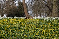 Bild: Fr&uuml;hjahrserwachen