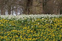 Bild: Fr&uuml;hjahrserwachen
