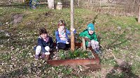 Bild: Fr&uuml;hling im Ahornpark