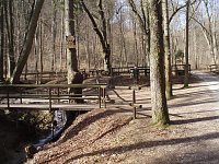 Der Stadtwald Bleicherode Bild: Der Stadtwald Bleicherode