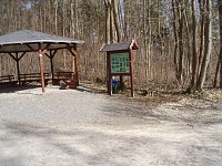 Der Stadtwald Bleicherode Bild: Der Stadtwald Bleicherode
