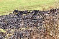 Flächenbrand bei Sollstedt Bild: Flächenbrand bei Sollstedt