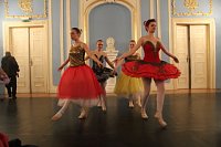 Bild: Das Tanzstudio Radeva verzauberte das Publikum im Blauen Saal