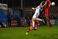 Bild: Wacker gewinnt irres Spiel gegen Babelsberg mit 3:2