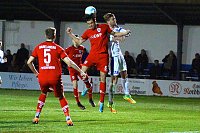 Bild: Wacker gewinnt irres Spiel gegen Babelsberg mit 3:2