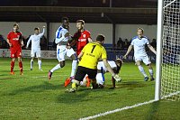 Bild: Wacker gewinnt irres Spiel gegen Babelsberg mit 3:2