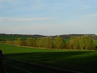 Bild: Die Natur erwacht am Rande der Stadt