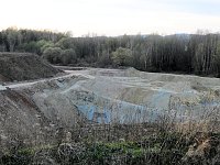 Bild: Die Natur erwacht am Rande der Stadt