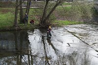 Bild: THW und Feuerwehren &uuml;bten an der Zorge