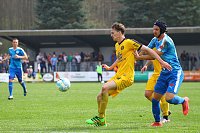 Bild: Niederlage gegen Auerbach