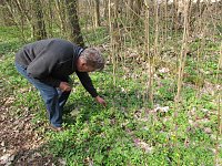 Bild: Am 1. April trafen sich Wanderfreunde zur Fr&uuml;hbl&uuml;herwanderung mit Mitgliedern der Bergwerk -und Wanderf&uuml;hrergruppe e.V. in Ilfeld.