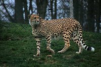 Besuch auf dem Possen Bild: Besuch auf dem Possen