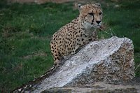 Besuch auf dem Possen Bild: Besuch auf dem Possen