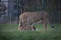 Besuch auf dem Possen Bild: Besuch auf dem Possen