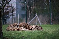 Besuch auf dem Possen Bild: Besuch auf dem Possen