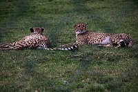 Besuch auf dem Possen Bild: Besuch auf dem Possen