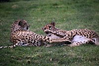 Besuch auf dem Possen Bild: Besuch auf dem Possen