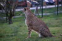 Besuch auf dem Possen Bild: Besuch auf dem Possen